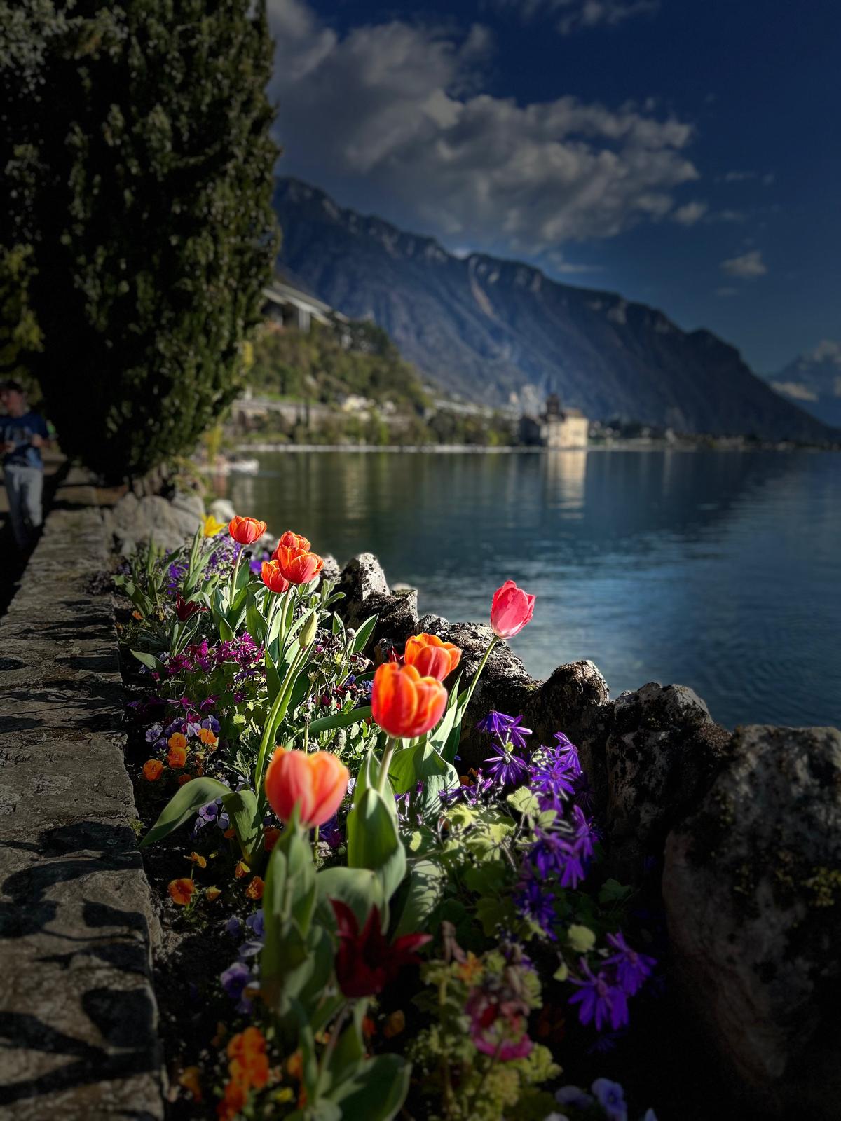 Montreux