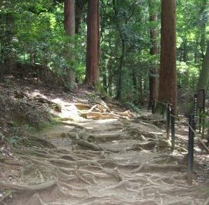 Techniques japonaises du Reiki